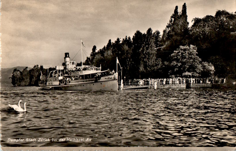 dampfer stadt zürich bei der halbinsel au