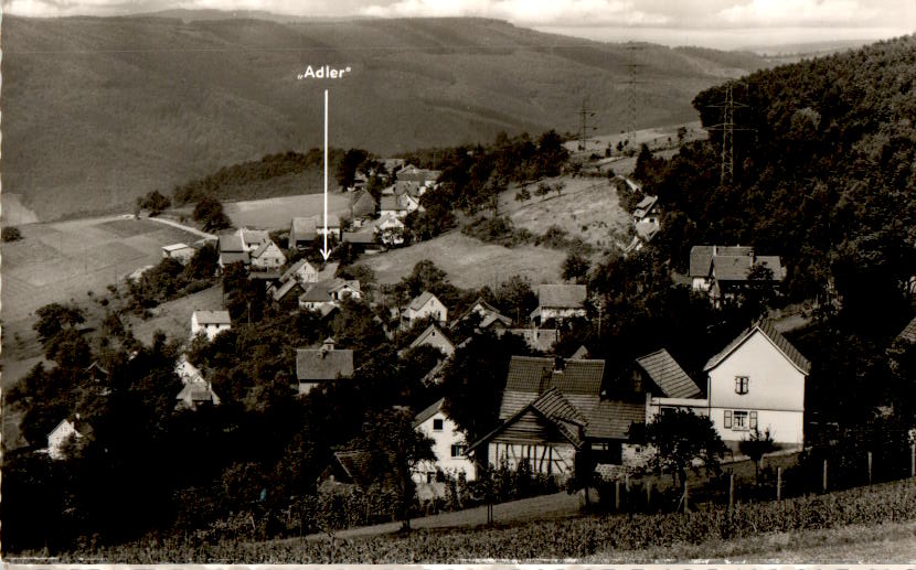 gasthaus zum adler, kortelshütte, hirschhorn am neckar