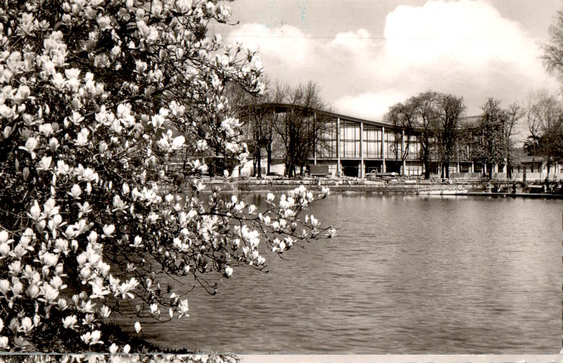 karlsruhe, magnolienblüte im stadtgarten