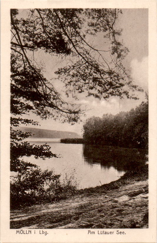 mölln, am lütauer see