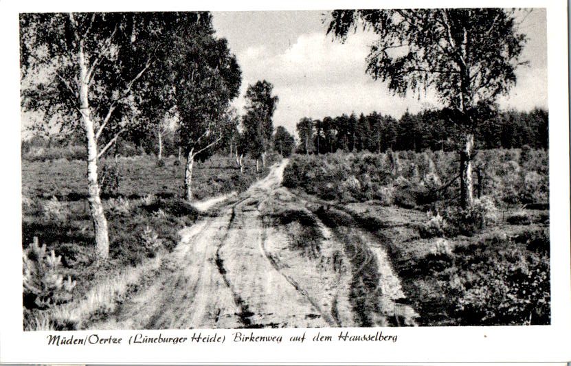 müden/oertze (lüneburger heide), birkenweg auf dem hausselberg, 1960