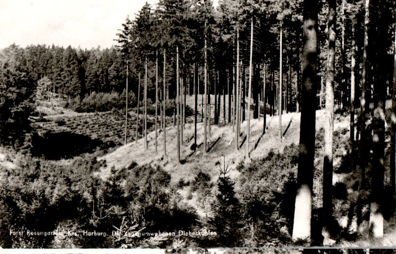 forst rosengarten harburg, diebeskuhlen