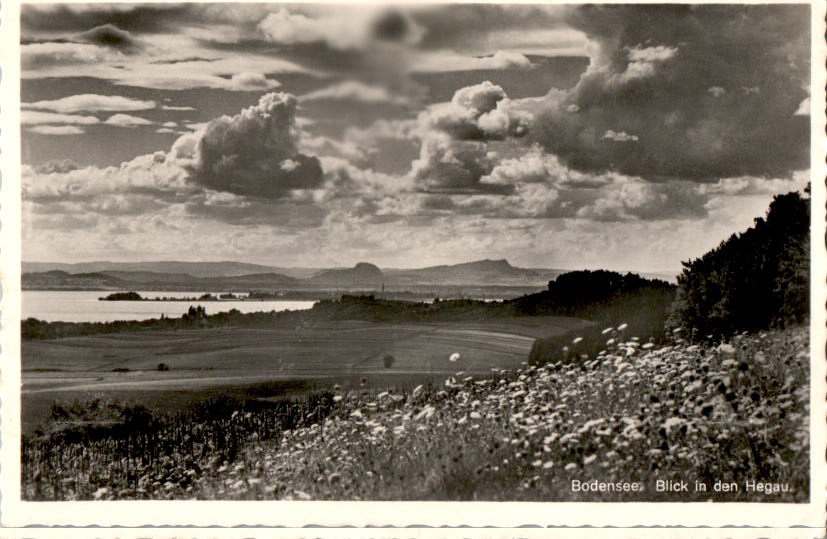 bodensee, blick in den hegau