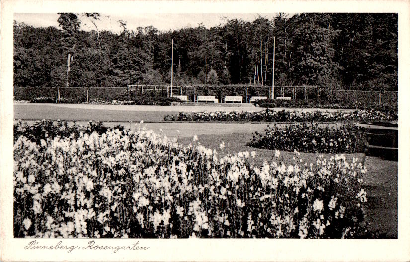 pinneberg, rosengarten