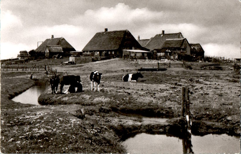 hallig gröde bauernwarft