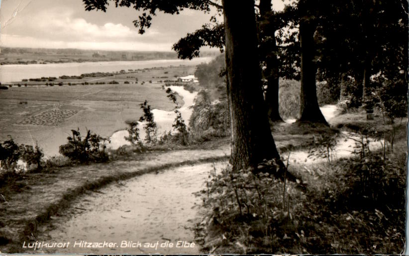 hitzacker, blick auf die elbe