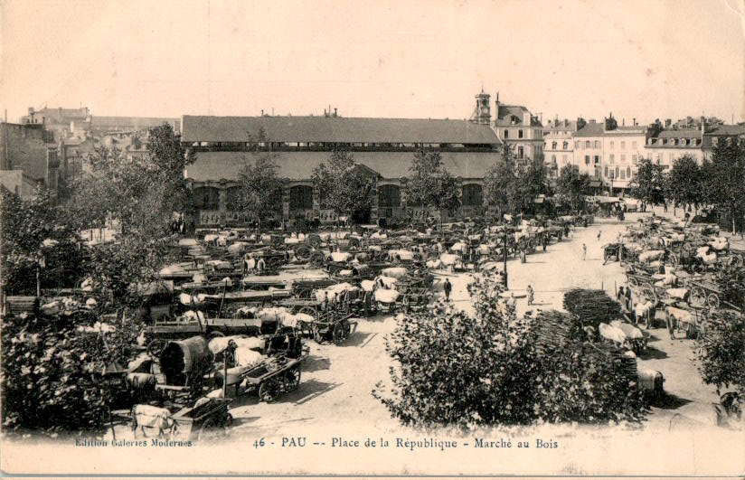 pau, place de la republique, marche au bois