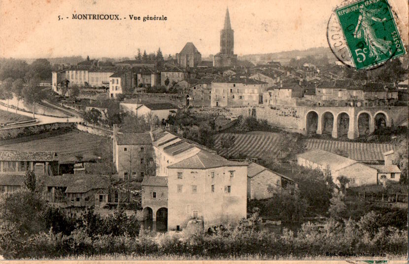 montricoux, vue generale