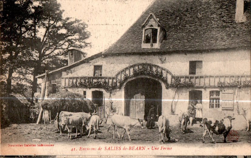 salies-de-bearn, une ferme