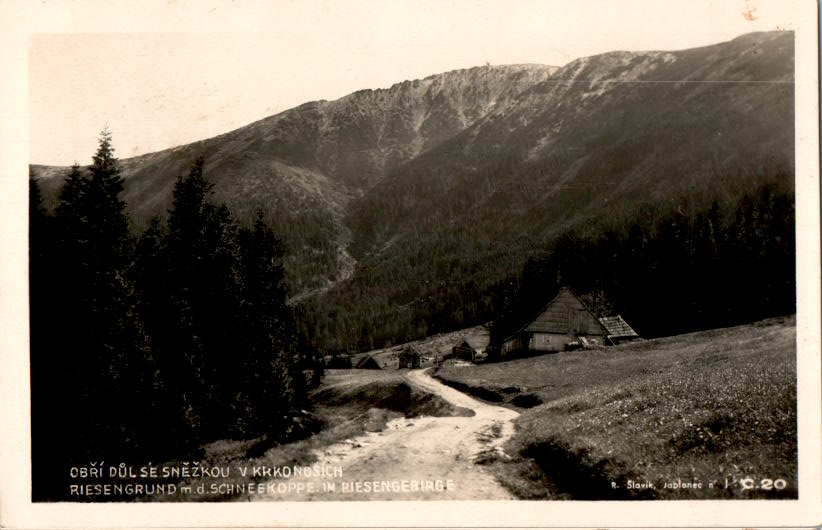 riesengrund mit schneekoppe im riesengebirge