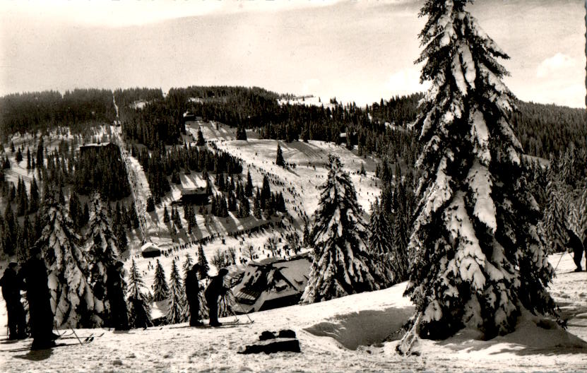 feldberg, blick a. grafenmatte