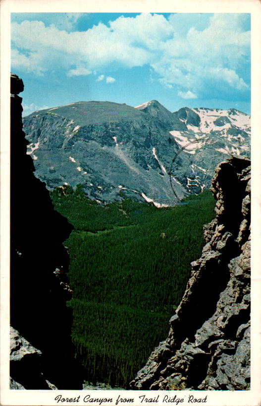 forest canyon from trail ridge road