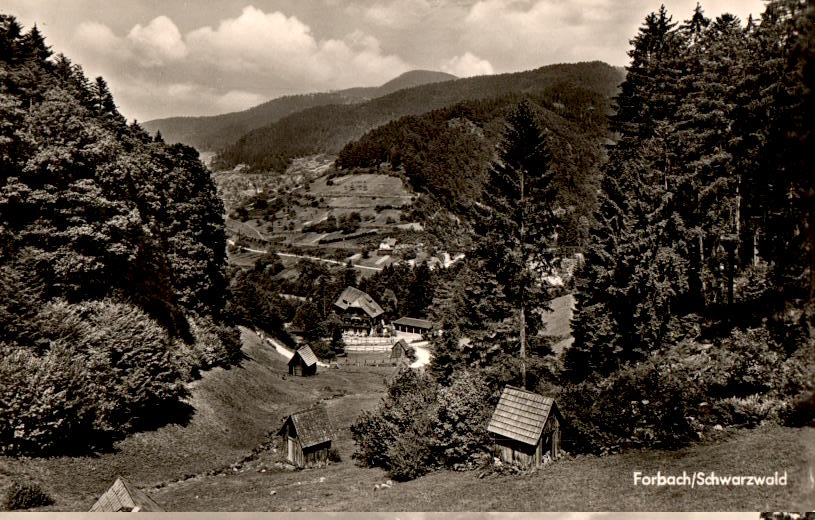 forbach/schwarzwald, ferienheim holdereck