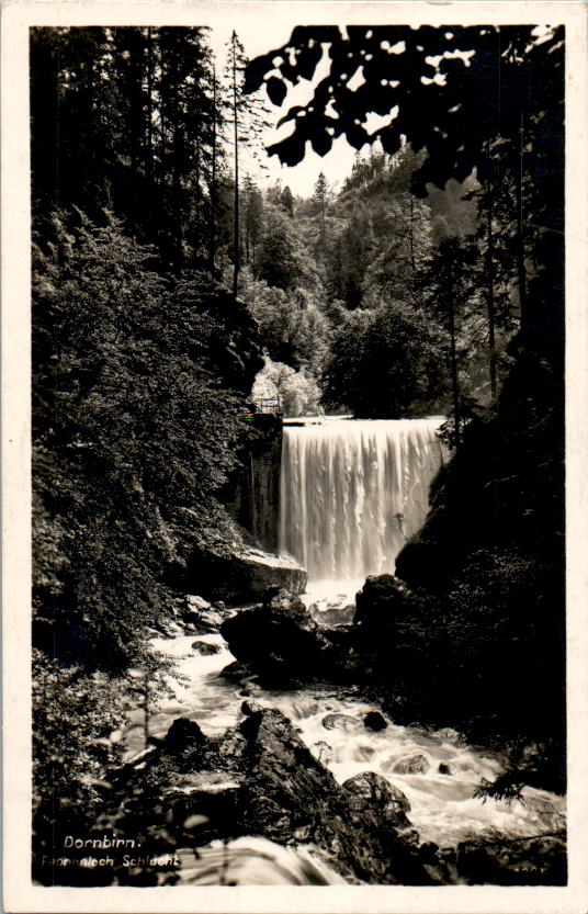 dornbirn, wasserfall, rappenloch schlucht