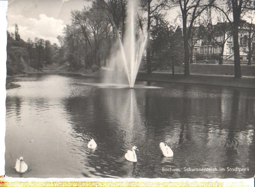 bochum, schwanenteich im stadtpark