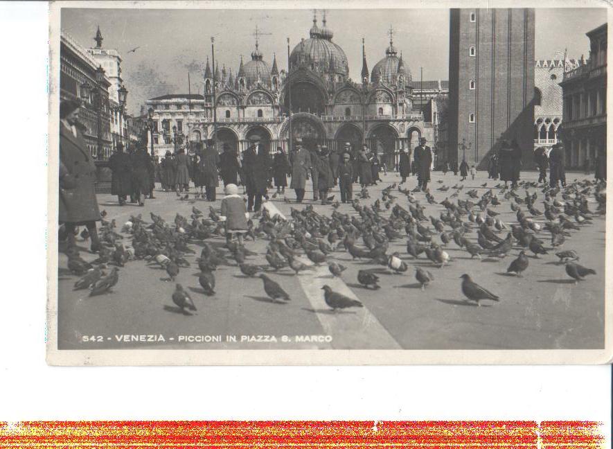 venezia, piccioni in piazza s. marco, tauben, 1968