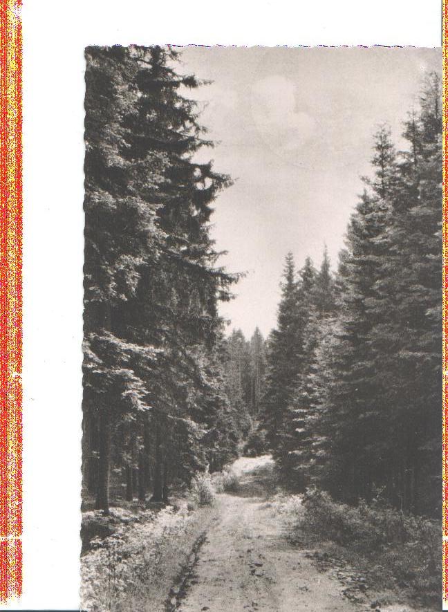 königsfeld/schwarzwald, neuhauser weg, 1961