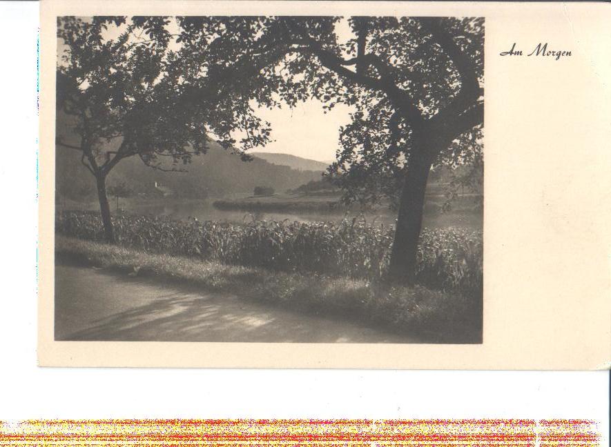 am morgen, hoheneich 1947