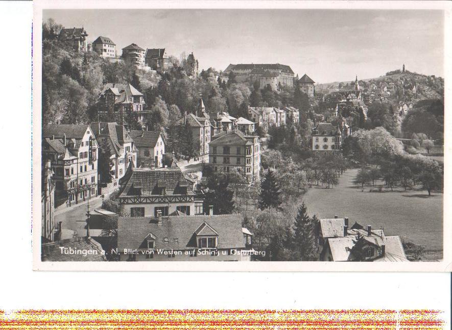 tübingen, blick v. westen