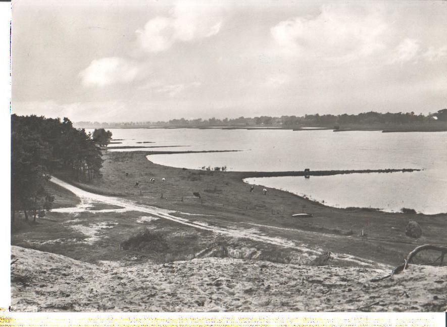 "schwedenschanze" brünkendorf, gisela angelis, blick a.d. elbe