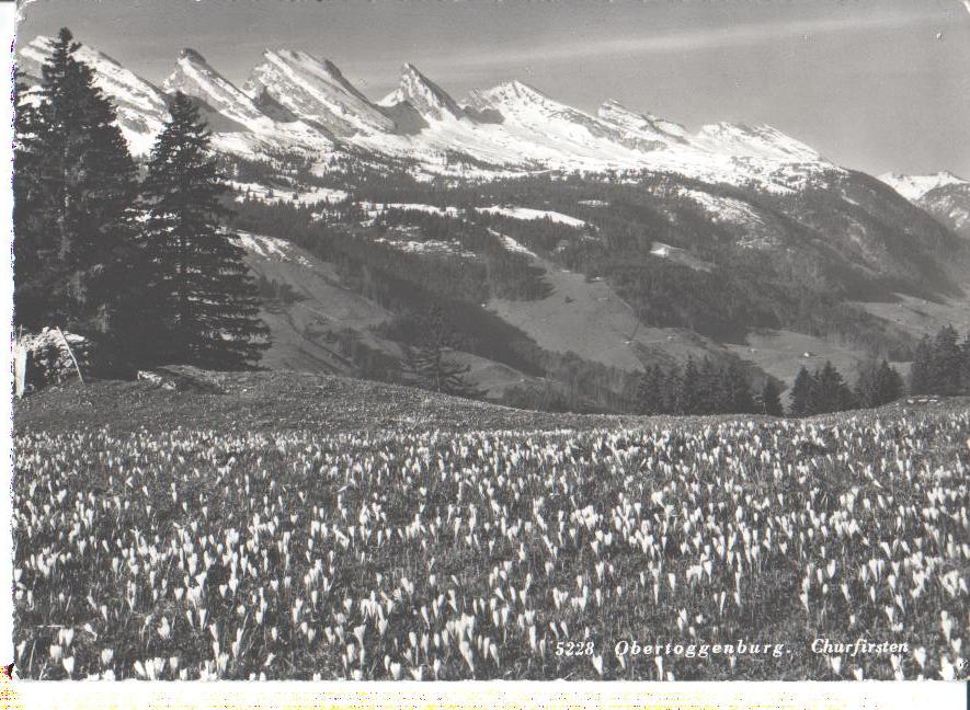 obertoggenburg, churfirsten, 1962