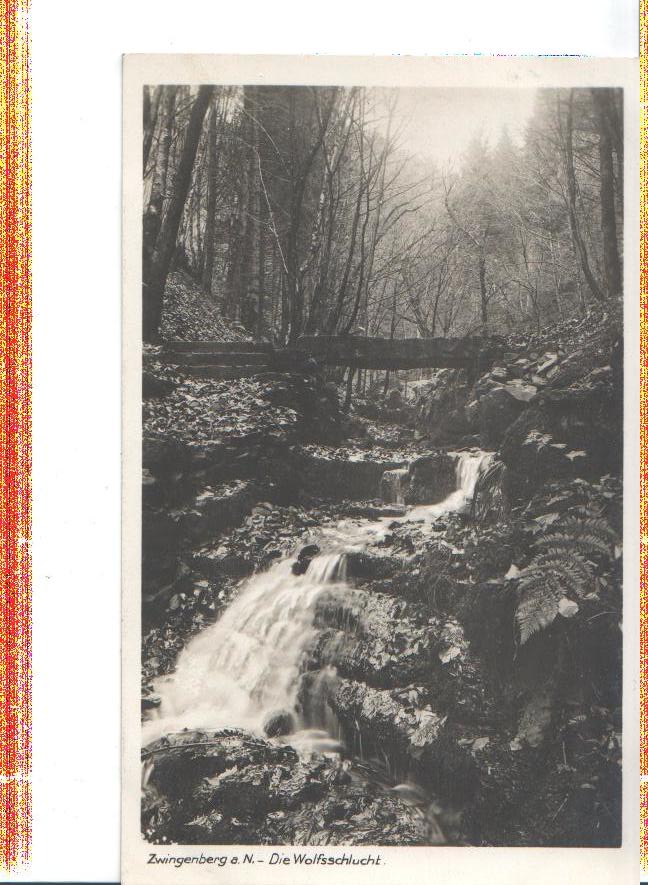 zwingenberg a.n., d. wolfsschlucht, 1933