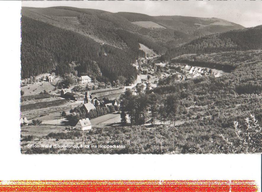 brillon-wald, blick i. hoppecketal