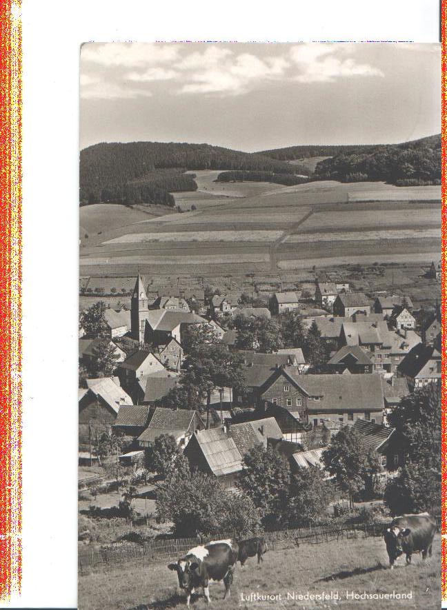 niedersfeld, hochsauerland