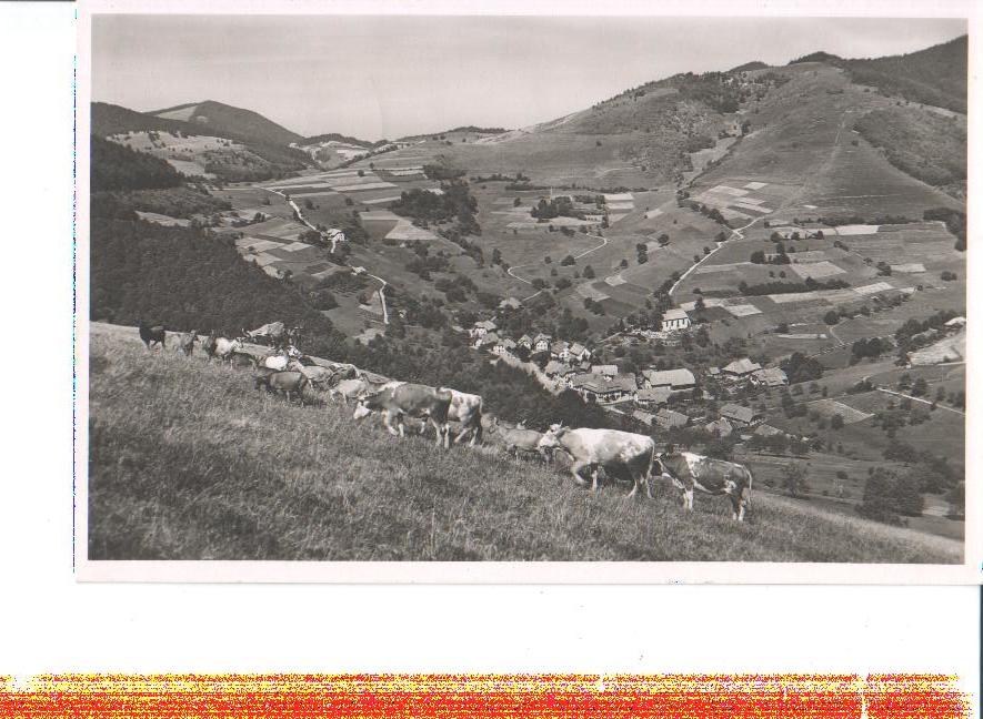 neuenweg, schwarzwald, 1954