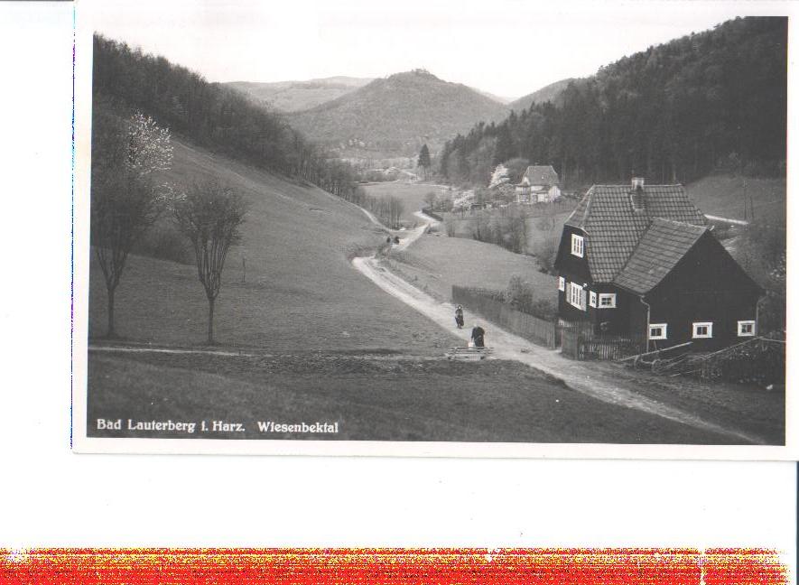 bad lauterberg im harz, wiesenbektal, 1955