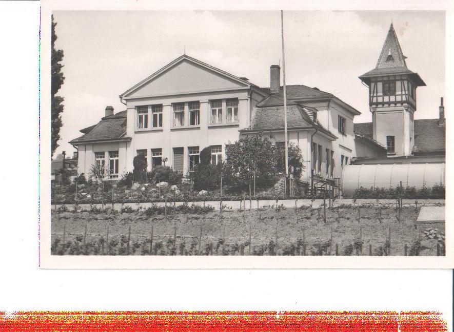 weinkellerei rüdesheim