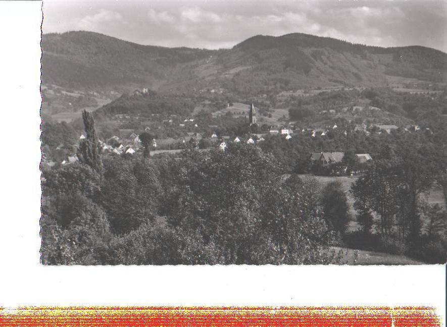 lauf im schwarzwald