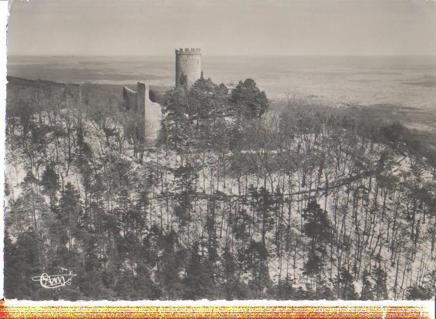 ribeauville, vue aerienne, 1955