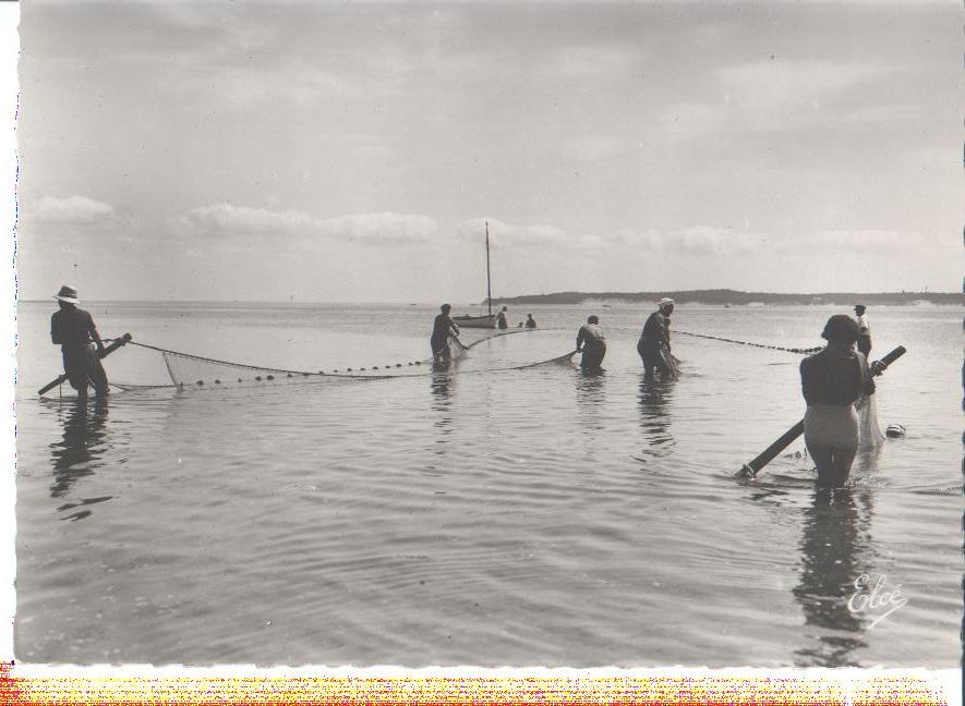 arcachon, la peche a la senne