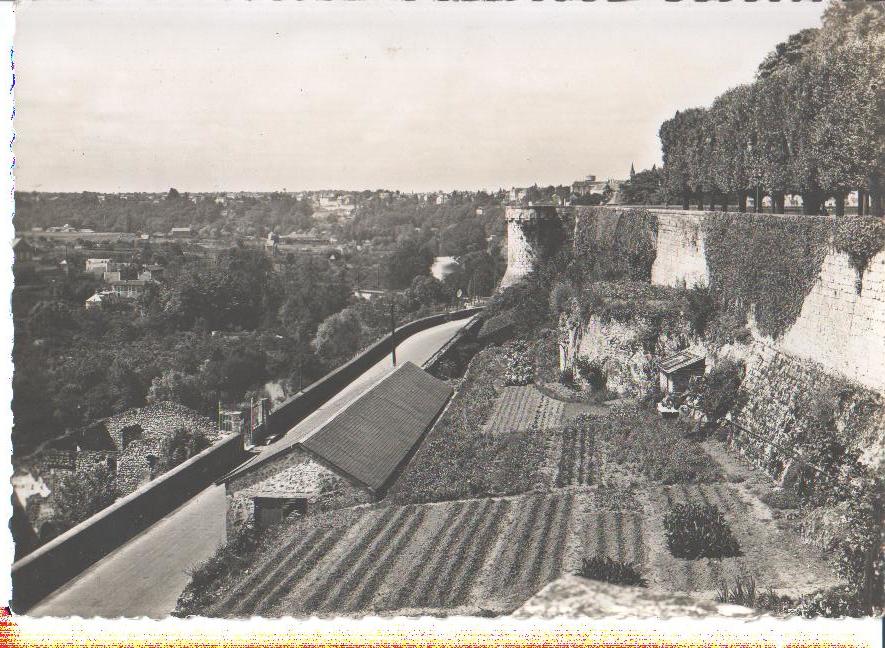 poitiers, vallee du clain et tour a l'oiseau