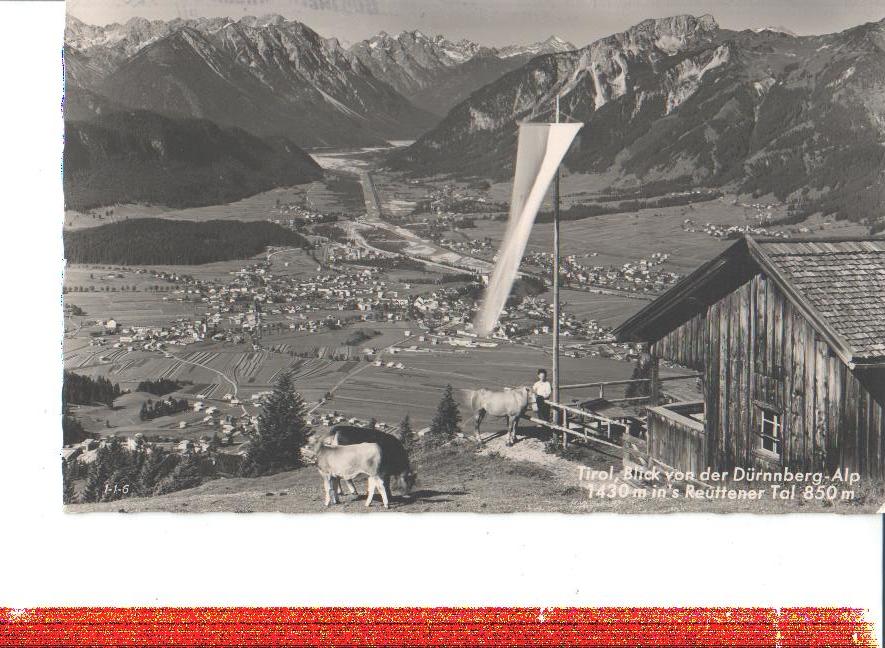 blick v.d. dürnnberg-alp i. reuttener tal