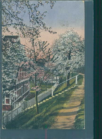 künstlerkarte 1918, kirschblüte