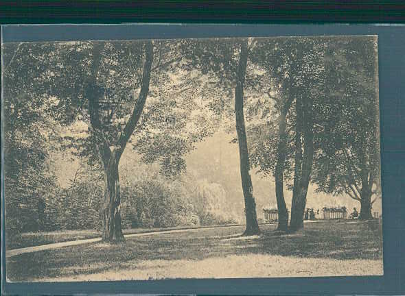 oldenburg, partie im schloßgarten, 1914