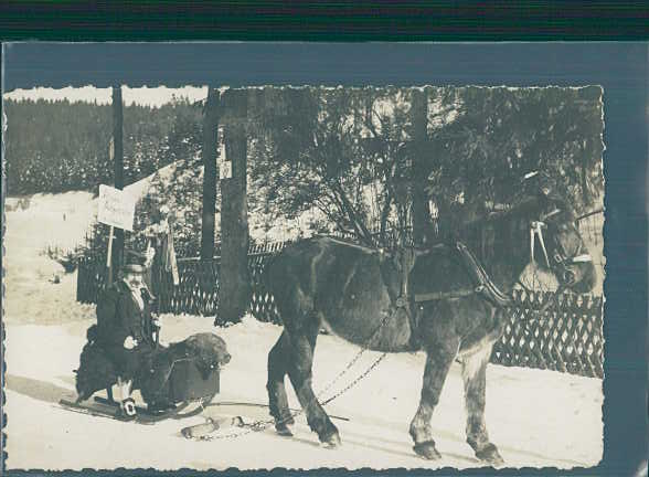 satrap photo, corbach, pferd m. schlitten u. mann u. bärenfell