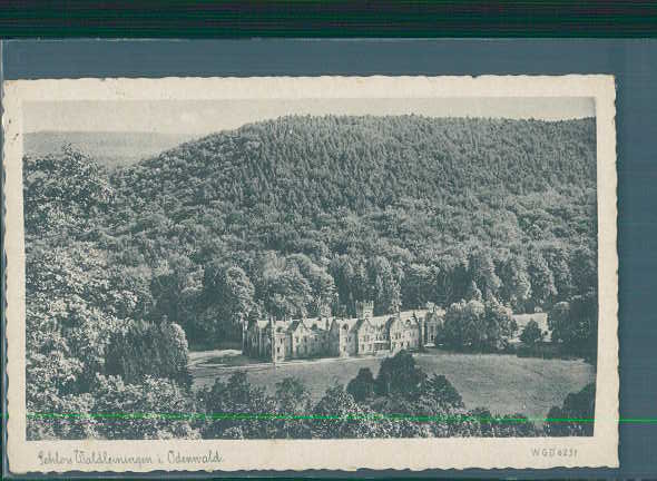 schloss waldleiningen im odenwald, 1944