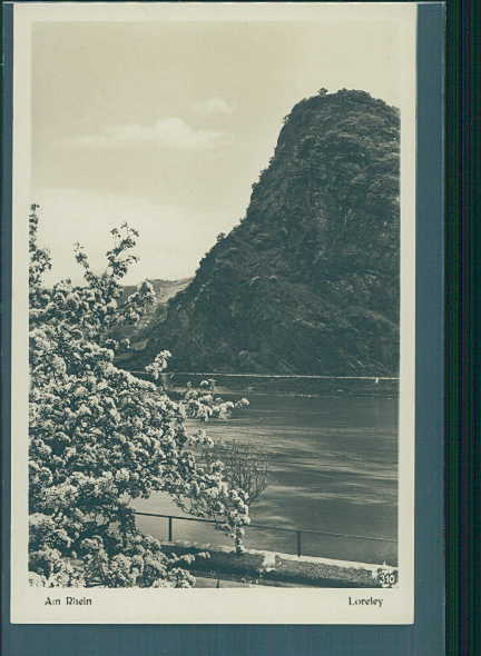 am rhein, loreley