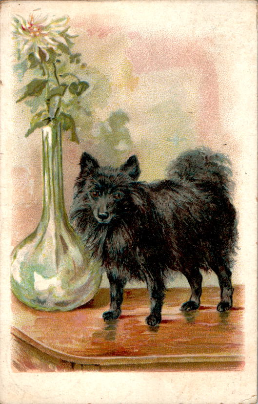 hund mit vase, dr. aumann erfurt, 1918