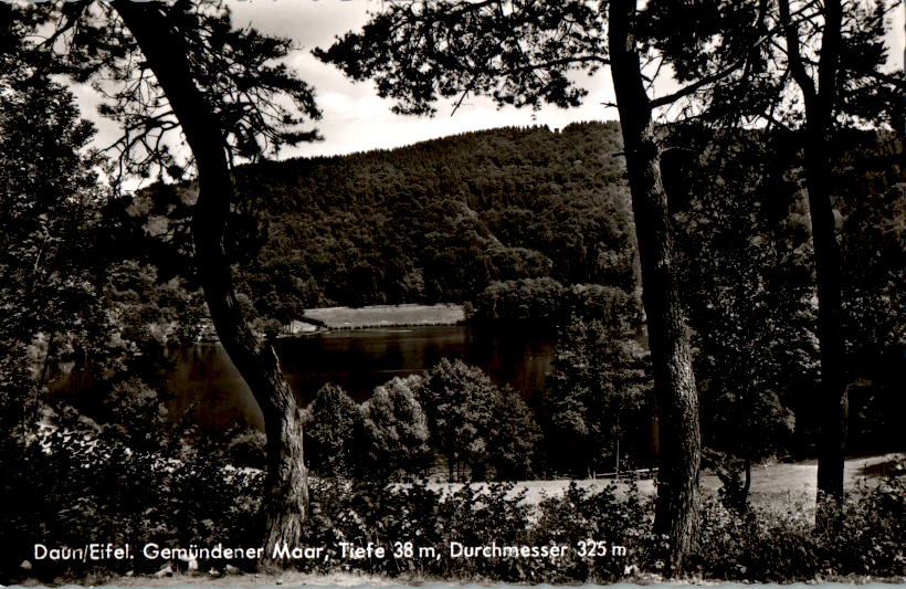 daun/eifel, gemündener moor