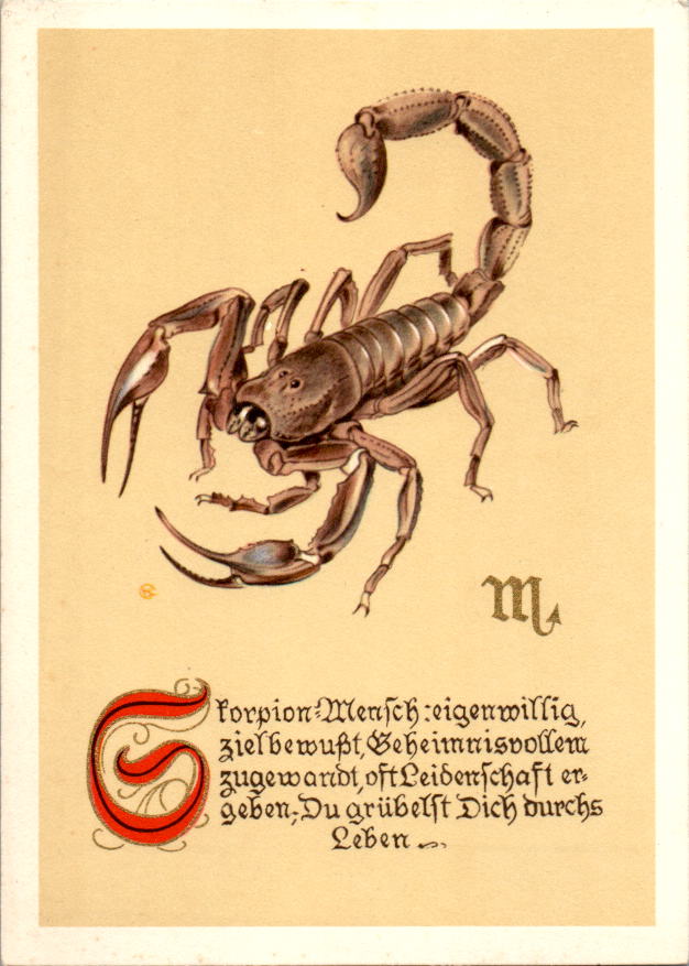 sternzeichen skorpion alte karte