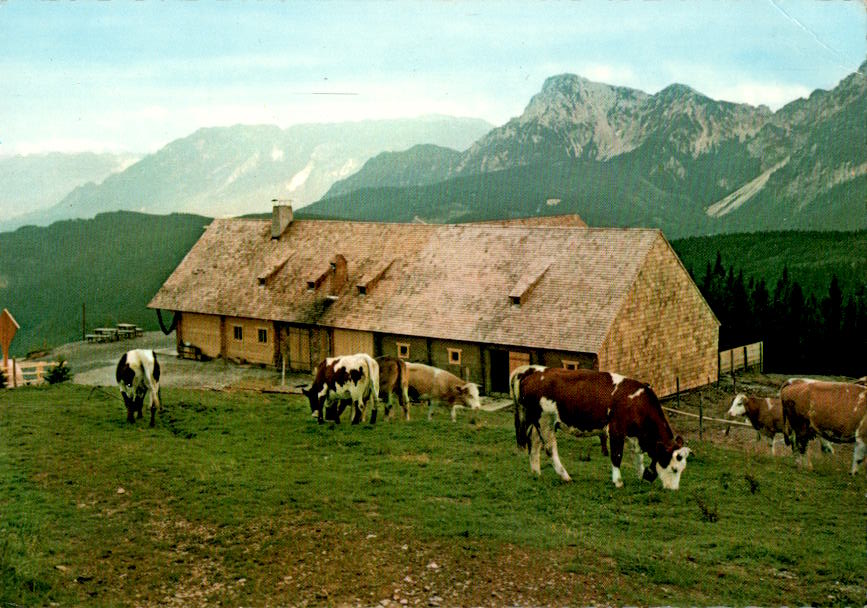 stoisser-alm m. untersberg