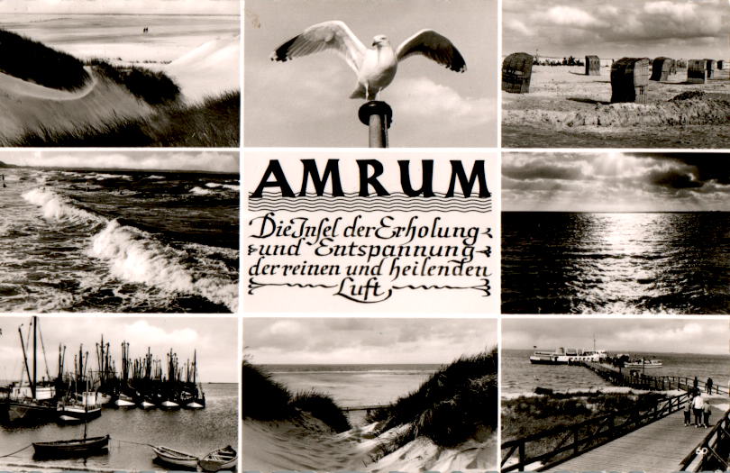 amrum, die insel der erholung