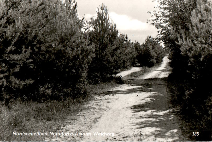 norddorf auf amrum, waldweg