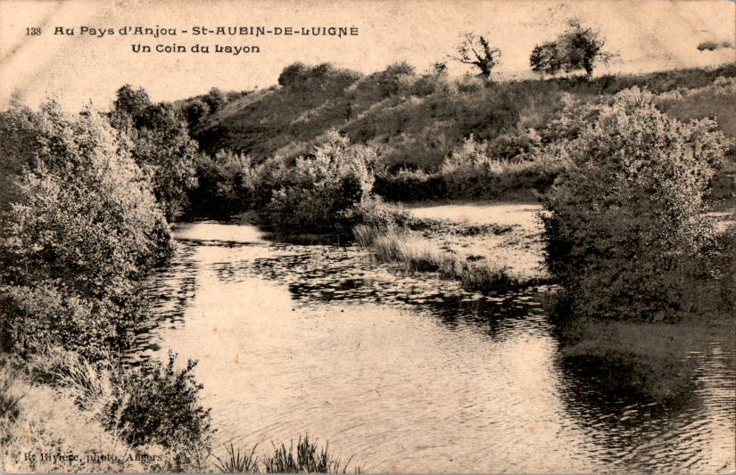 st aubin de luigne, un coin du layon