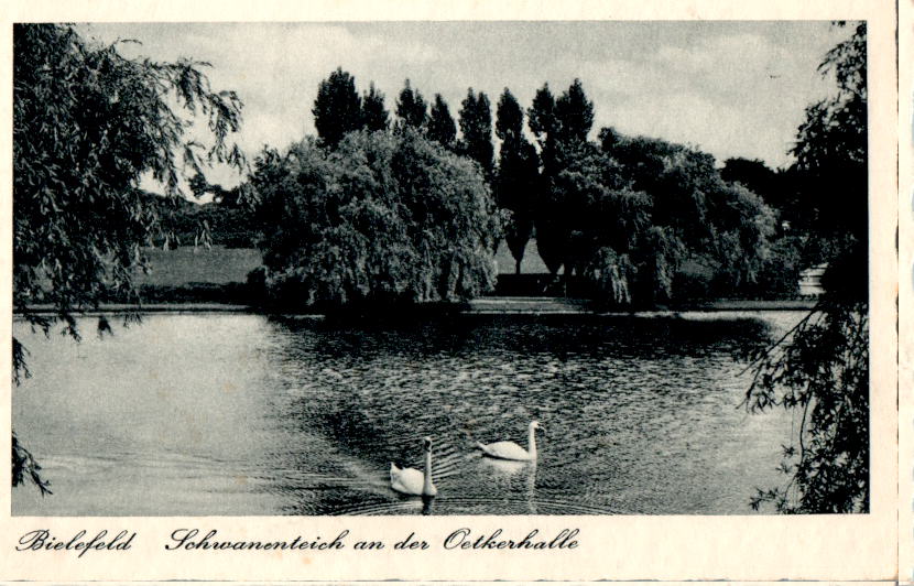 bielefeld, schwanenteich an der oetkerhalle