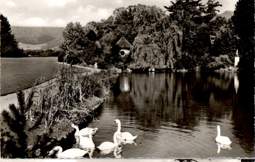 bad pyrmont, kurpark malerwinkel, schwäne